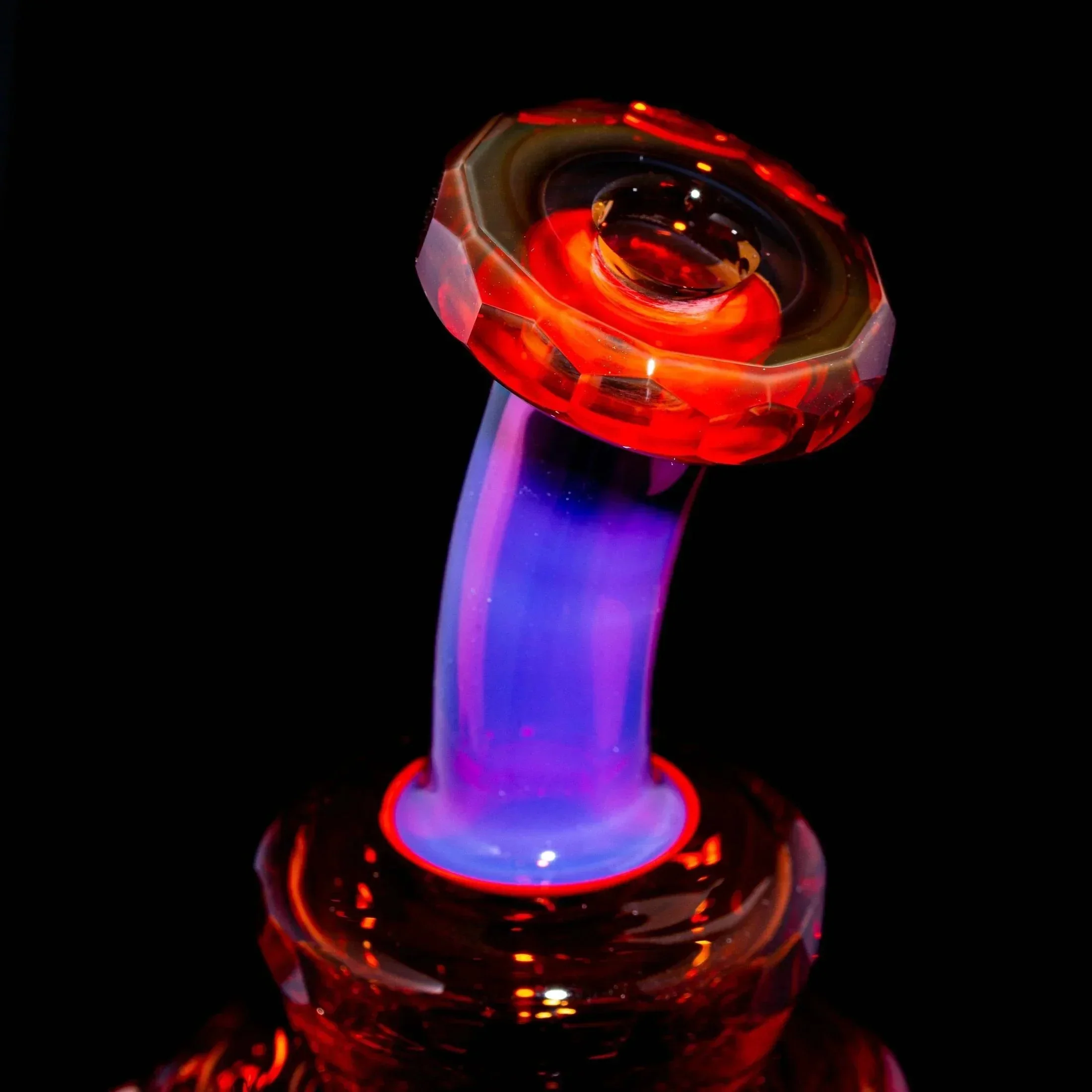 Ben Garson - Royal Jelly & Sunstone Proton Cycler - Image 13