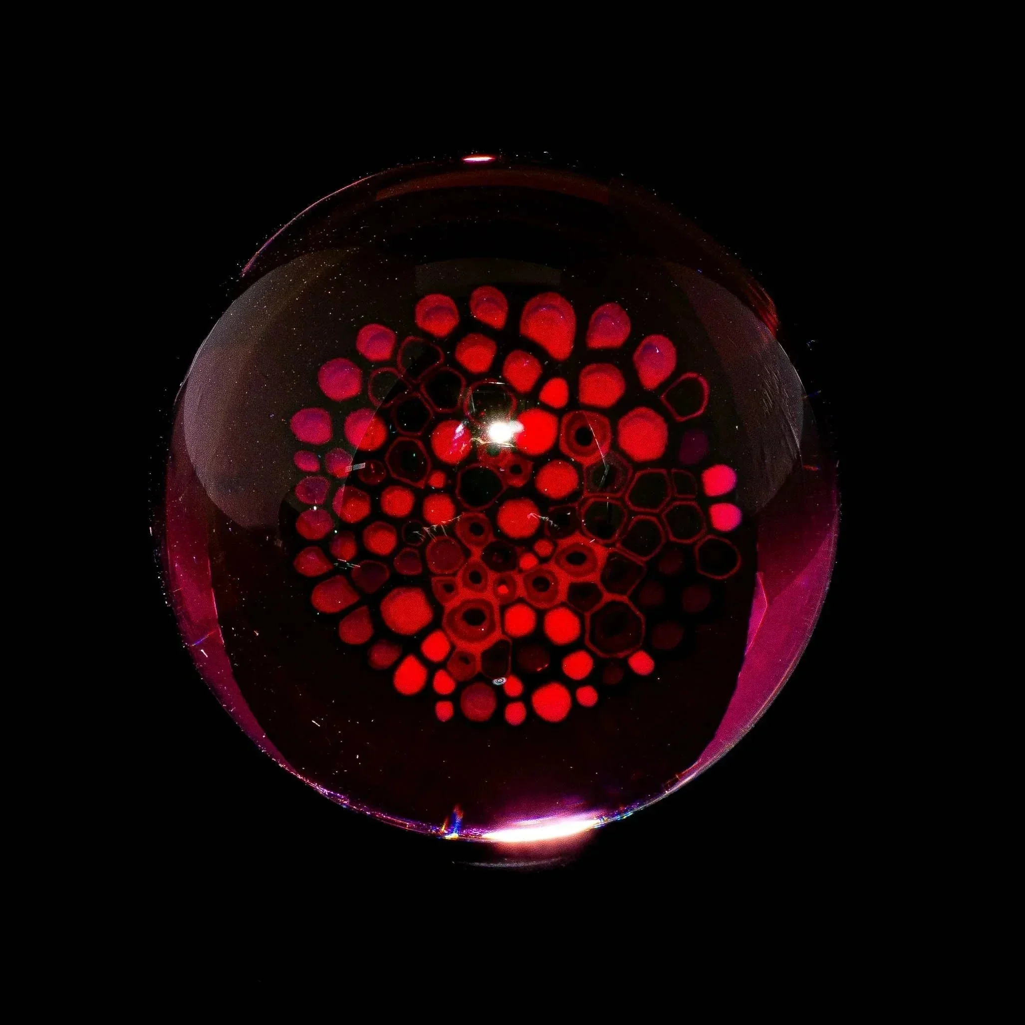 Chris Roesigner - Gold Ruby Petri Dish 33MM Marble - Image 3