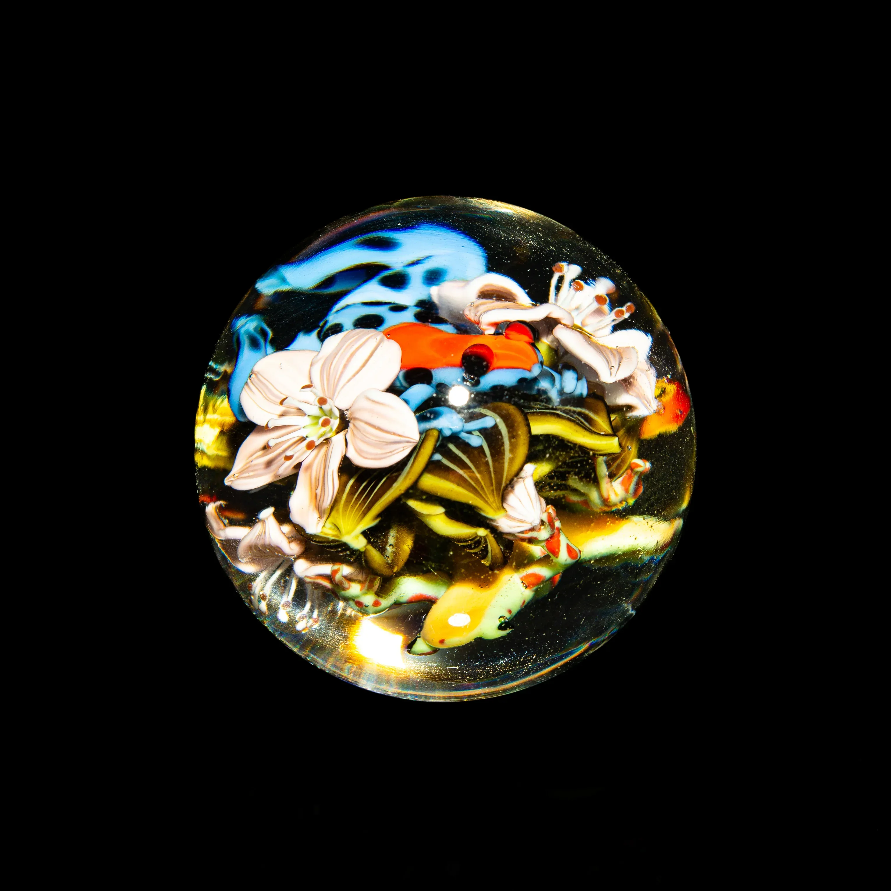Clinton Smith - Floral Frogs 31MM Marble - Image 4