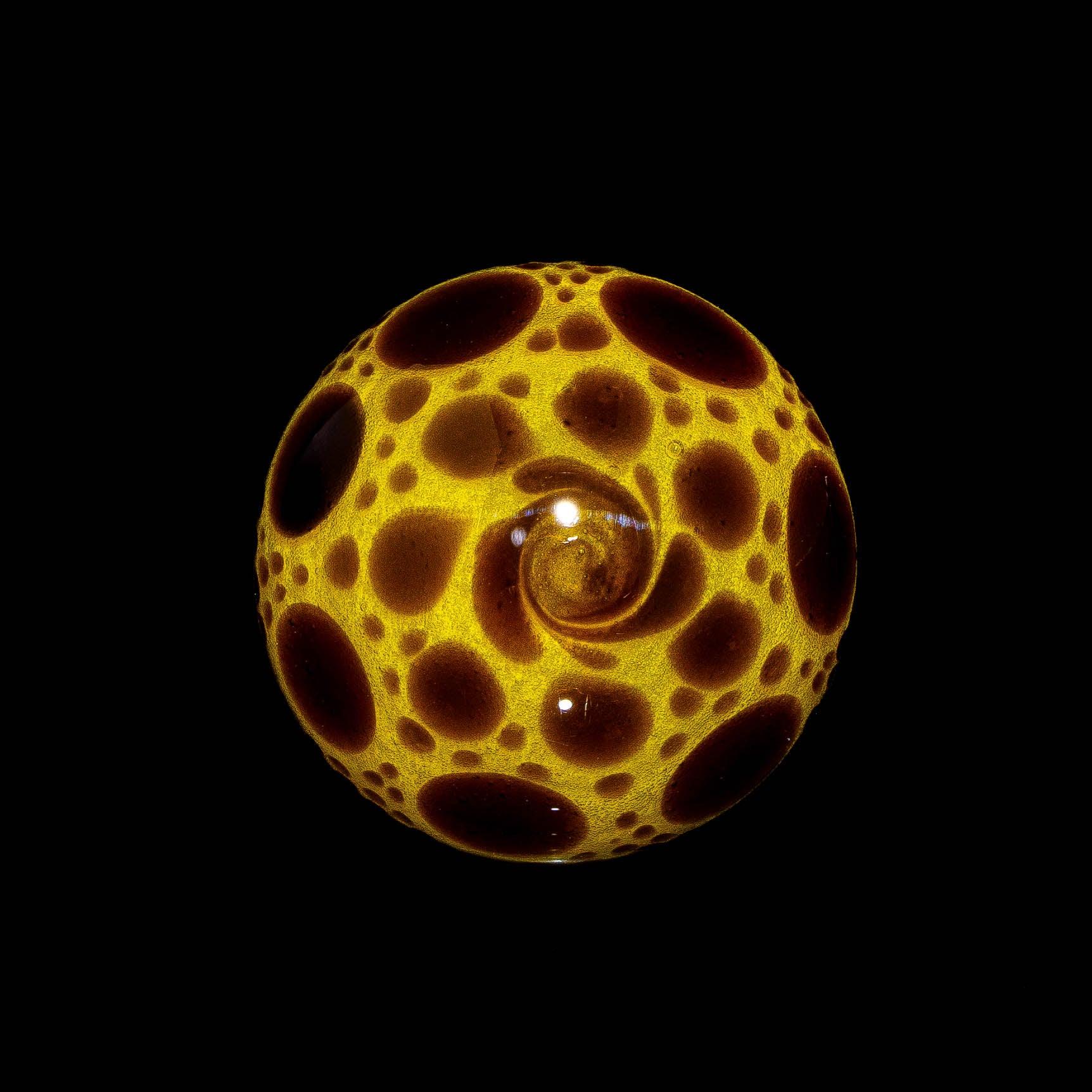 Suellen Fowler - Yellow Sable Hobnail Marble - Image 2