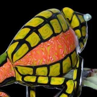 Crunklestein "Chipping Away At It " Chameleon, Lonnie - Image 4
