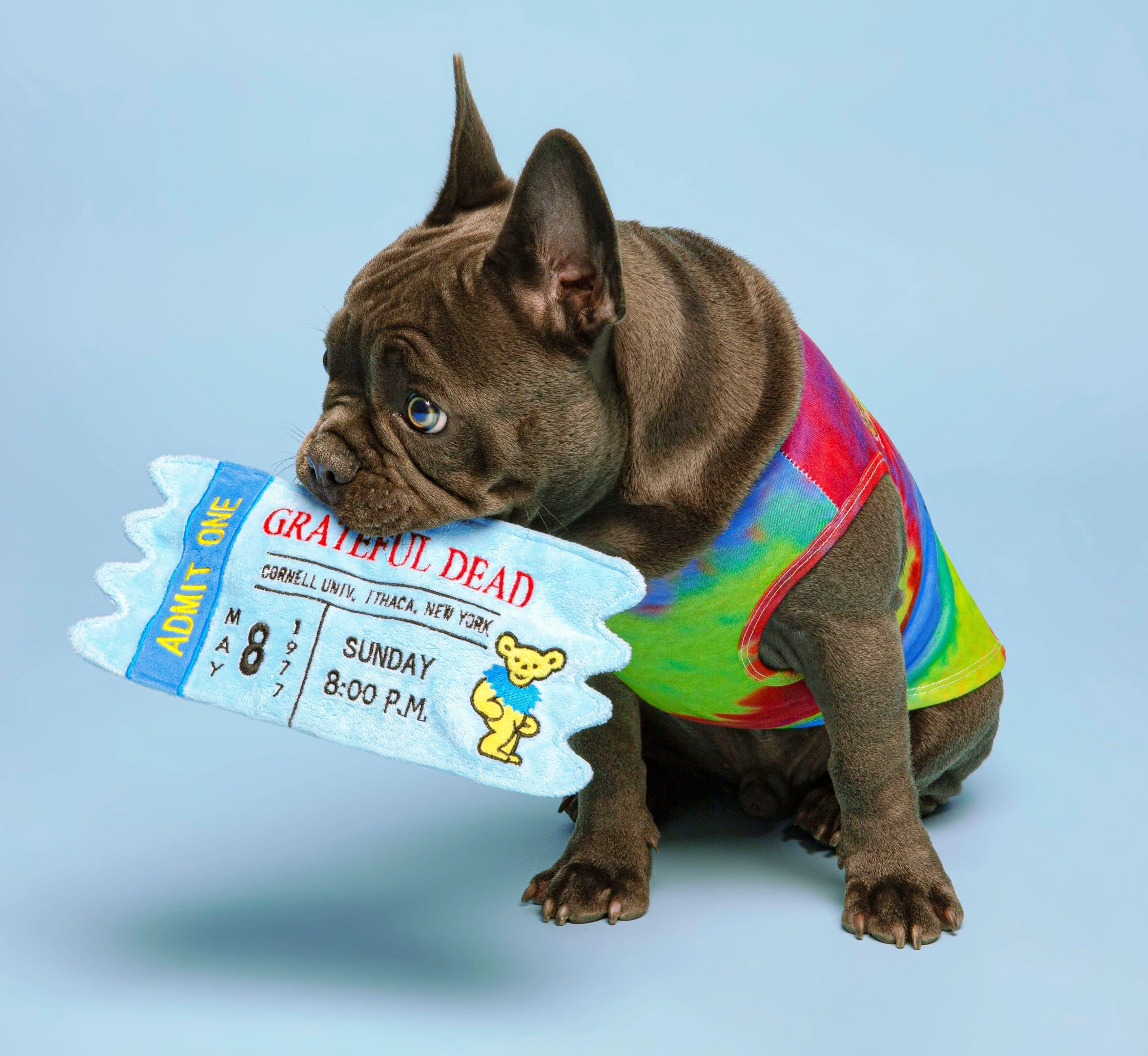 Fab Dog - Grateful Dead Cornell '77 Concert Ticket Dog Toy - Image 2