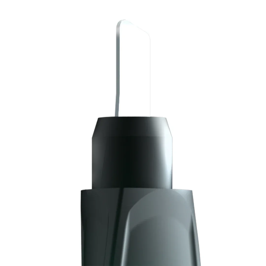 Focus V - Saber - Image 3