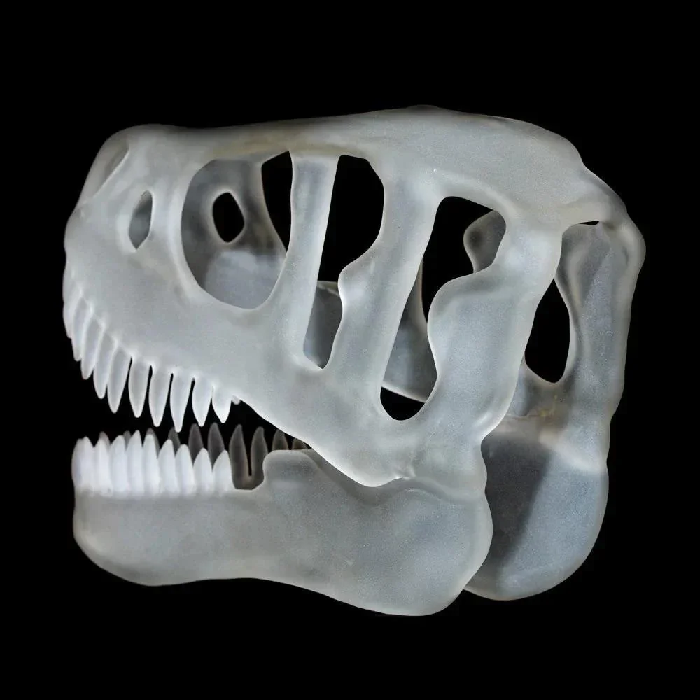 Joe Romatowski - T-Rex Skull - Image 2