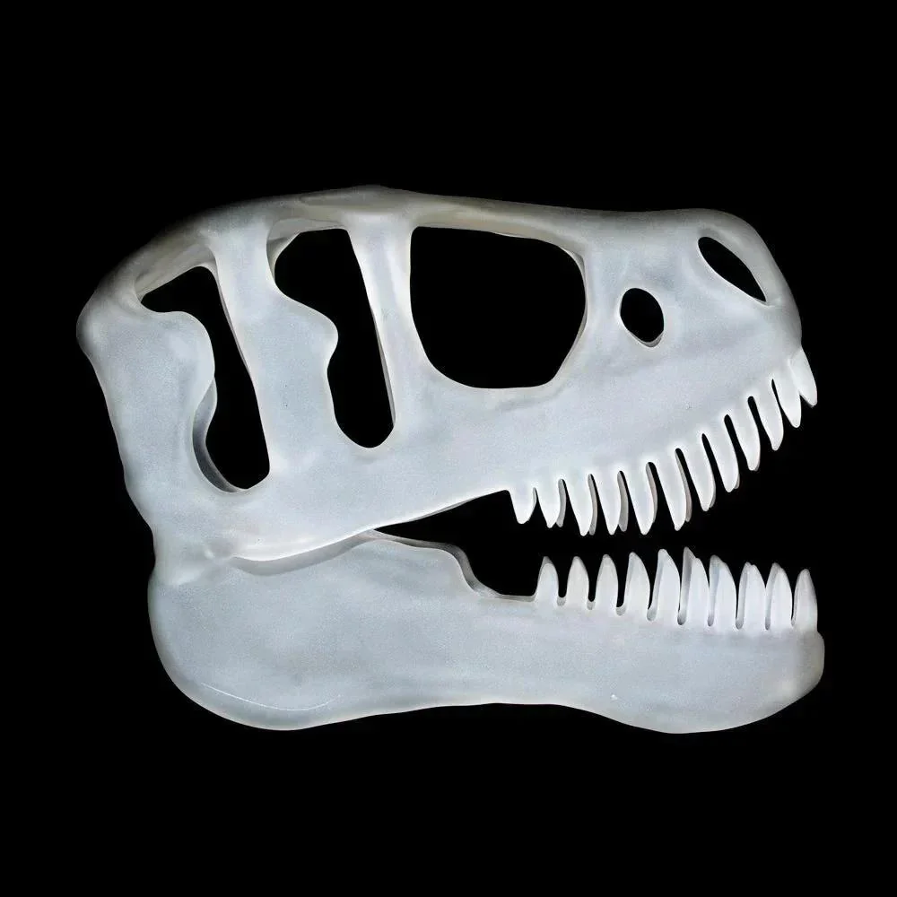 Joe Romatowski - T-Rex Skull - Image 3