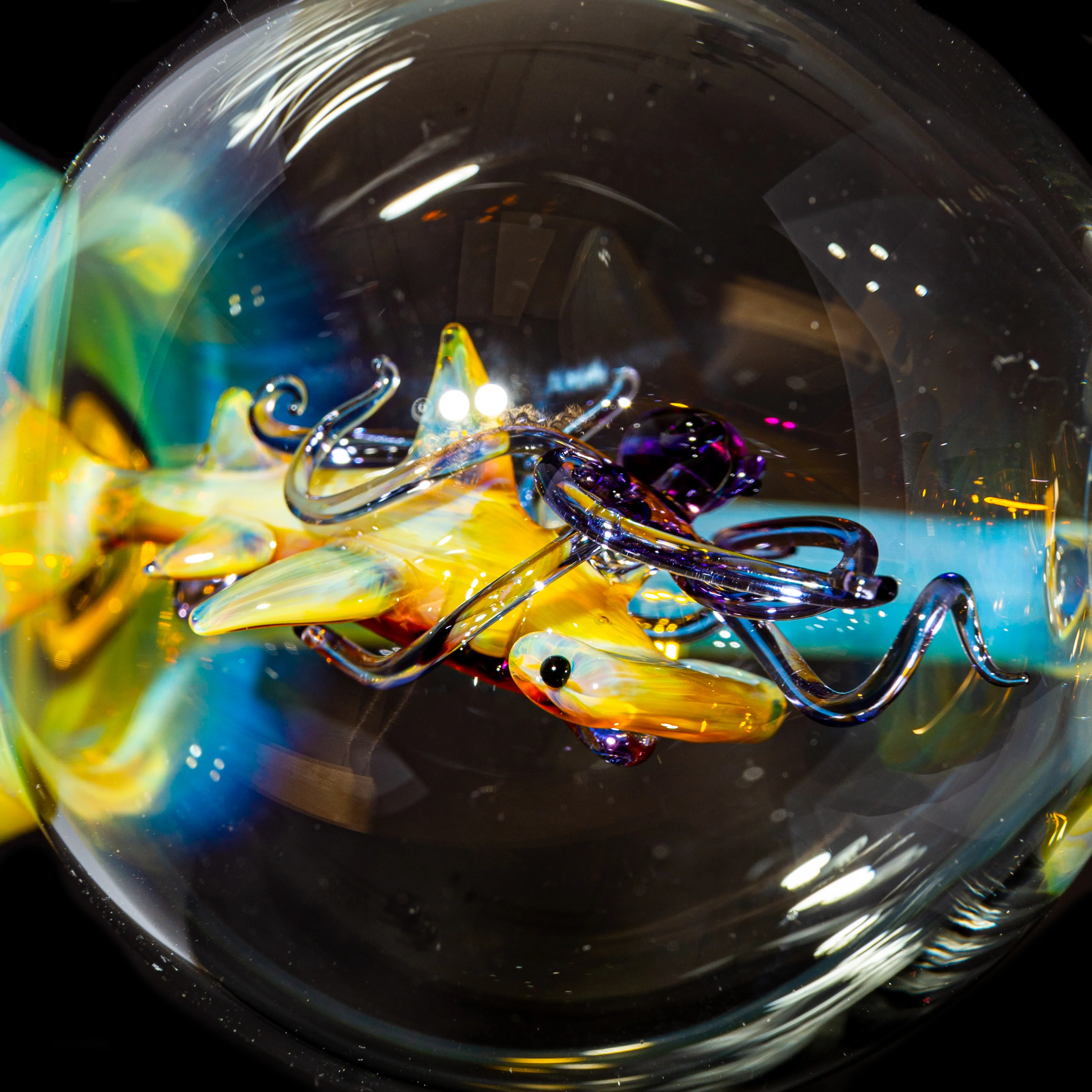 Liz Wright - Fumed Aquarium - Image 11