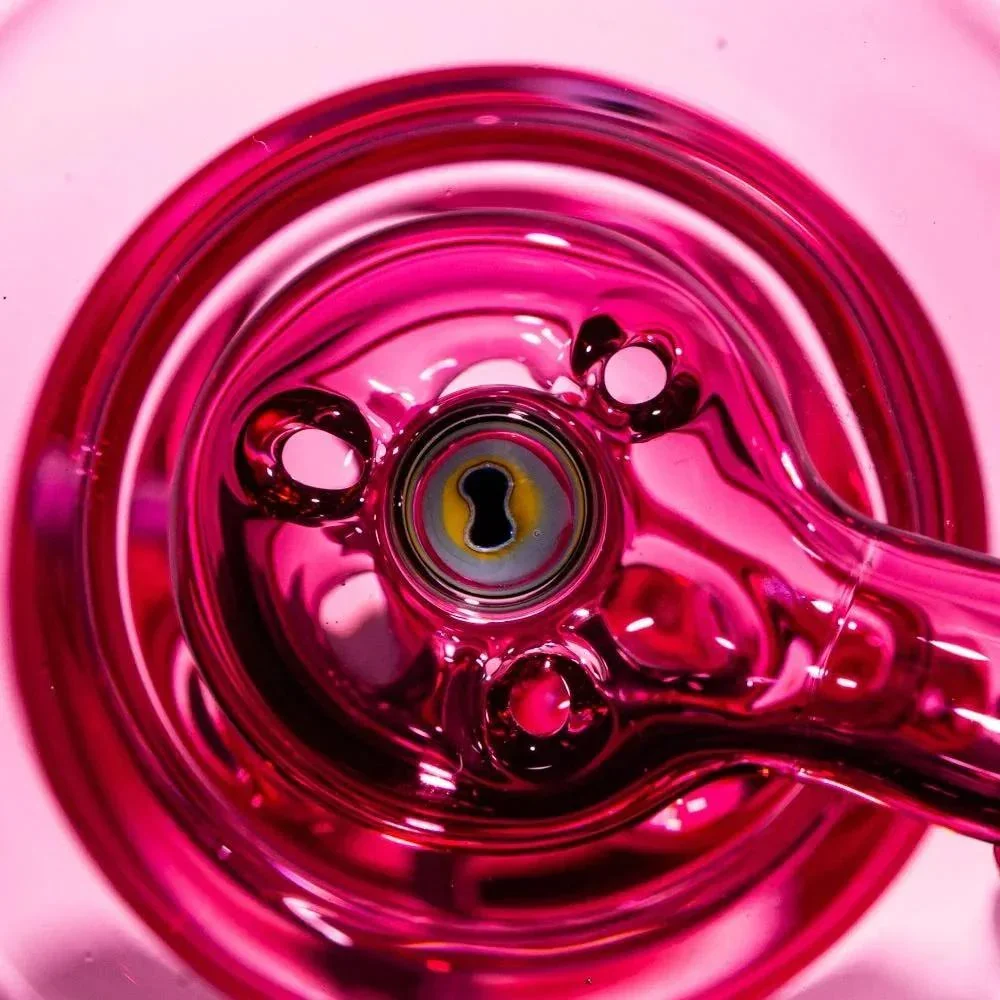 Liz Wright - Gold Ruby & Lotus White Aquarium Blooper #1 - Image 5