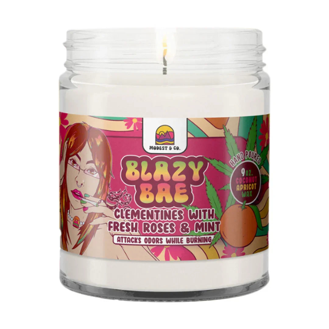 Modest & Co. - Odor Fighting Candles - Image 2