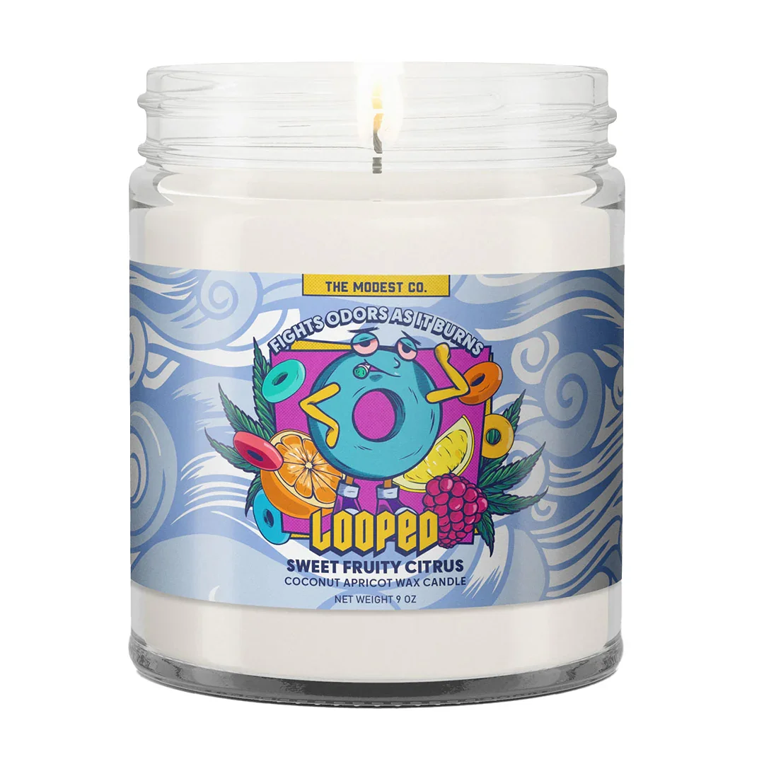 Modest & Co. - Odor Fighting Candles - Image 5