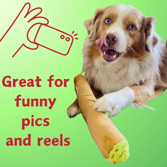 Paw:20 - B Cute Blunt Dog Toy - Image 7