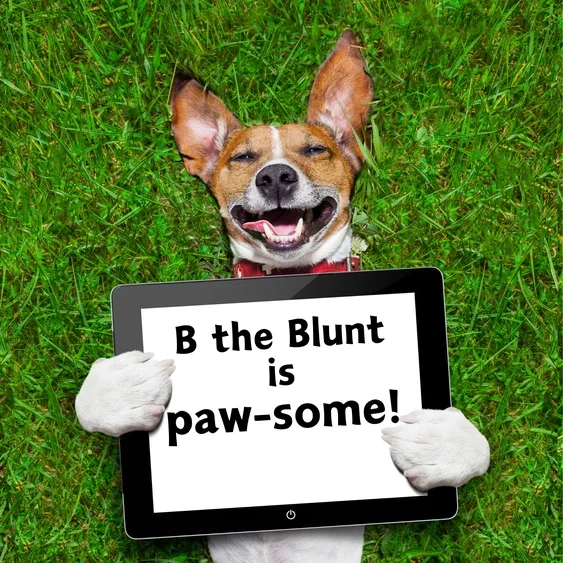 Paw:20 - B Cute Blunt Dog Toy - Image 9