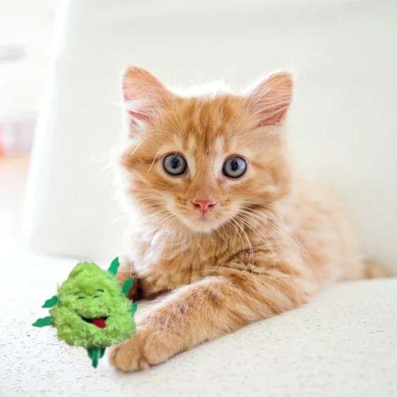 Paw:20 - Bud Jr The Nug Cat Toy - Image 10