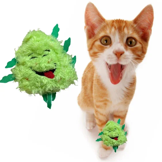 Paw:20 - Bud Jr The Nug Cat Toy - Image 11