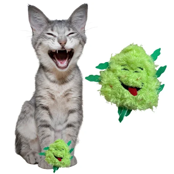 Paw:20 - Bud Jr The Nug Cat Toy - Image 4