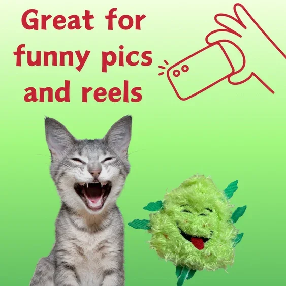 Paw:20 - Bud Jr The Nug Cat Toy - Image 6