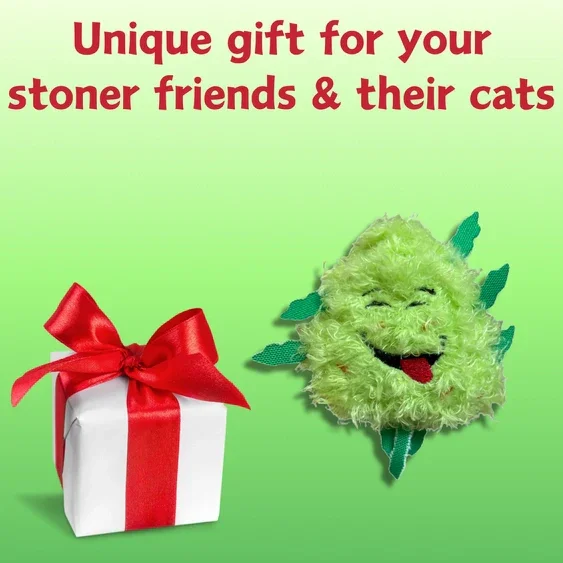 Paw:20 - Bud Jr The Nug Cat Toy - Image 8
