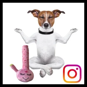 Paw:20 - Harmony Bong Dog Toy - Image 10