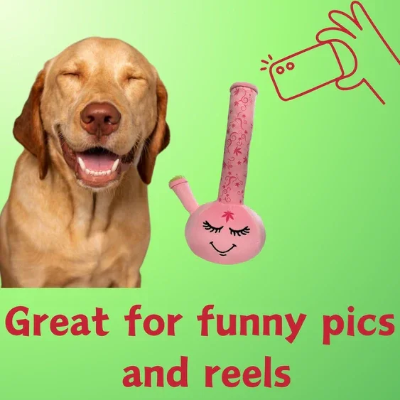 Paw:20 - Harmony Bong Dog Toy - Image 7