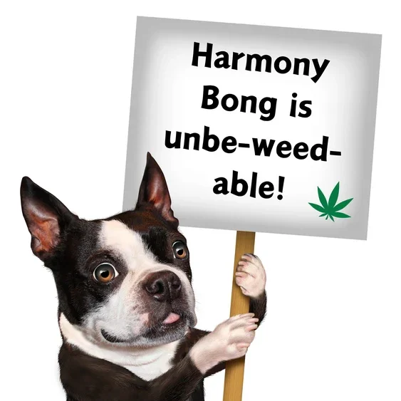 Paw:20 - Harmony Bong Dog Toy - Image 9