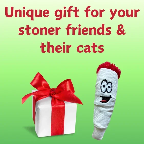 Paw:20 - Jay Jr The Joint Cat Toy - Image 6