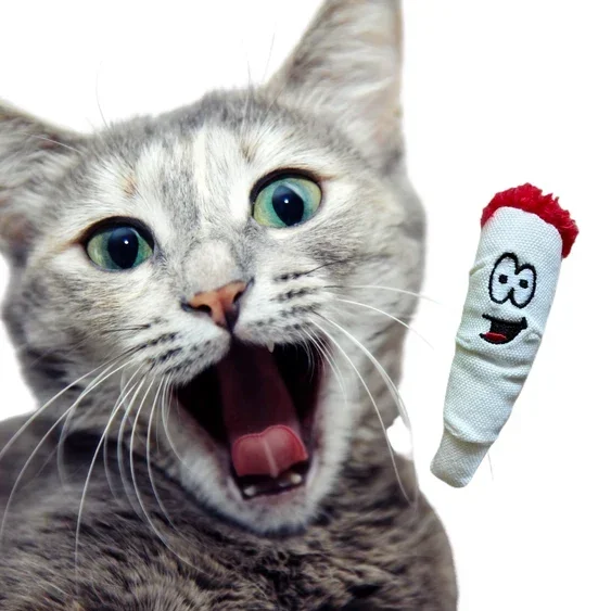Paw:20 - Jay Jr The Joint Cat Toy - Image 7