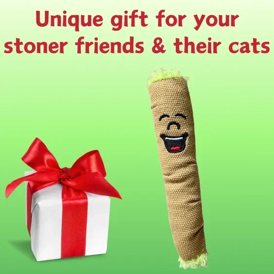 Paw:20 - Lil B The Blunt Cat Toy - Image 6