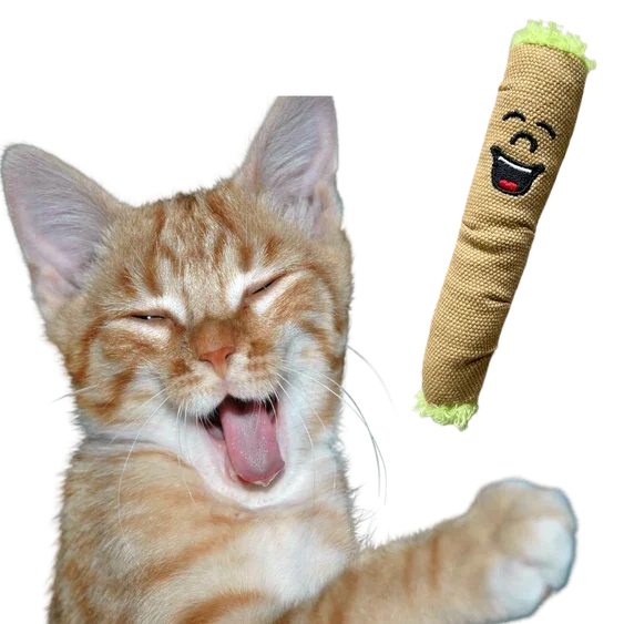 Paw:20 - Lil B The Blunt Cat Toy - Image 7