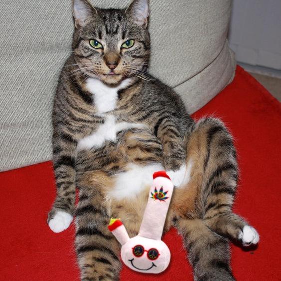 Paw:20 - Lil Billie Bong Cat Toy - Image 8