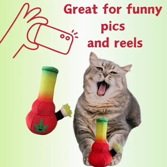 Paw:20 - Lil Bo Da Bong Cat Toy - Image 6