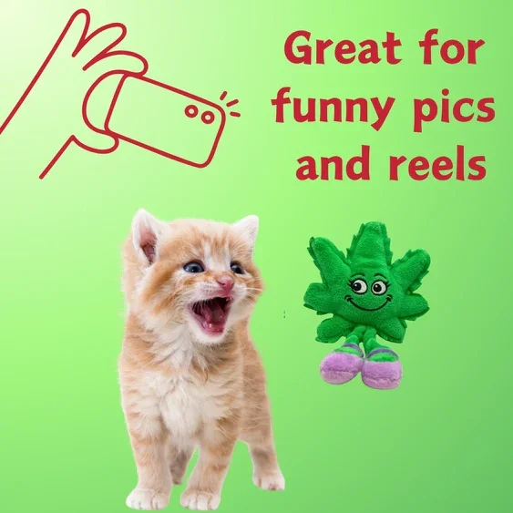 Paw:20 - Lil Mary Jane The Weed Leaf Cat Toy - Image 6