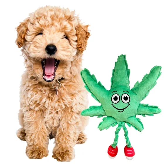 Paw:20 - MJ The Weed Leaf Dog Toy - Image 9