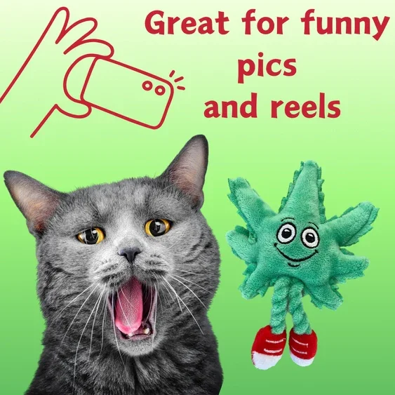Paw:20 - Lil MJ The Weed Leaf Cat Toy - Image 6