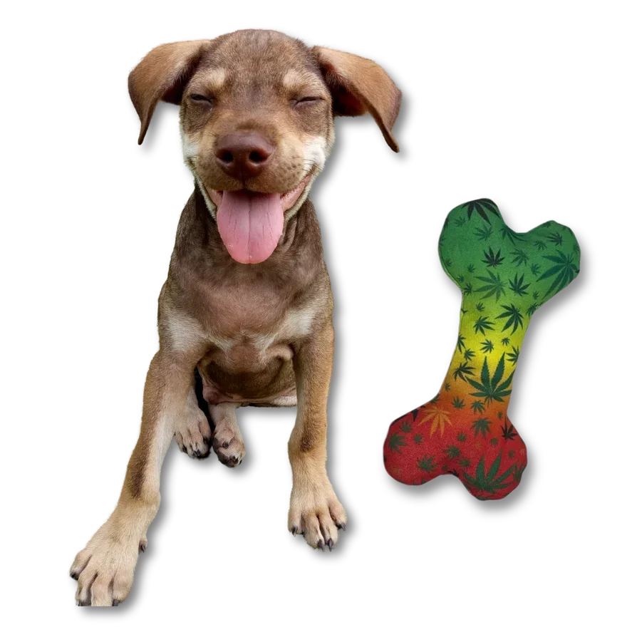 Paw:20 - Stoned To Da Bone - Image 8