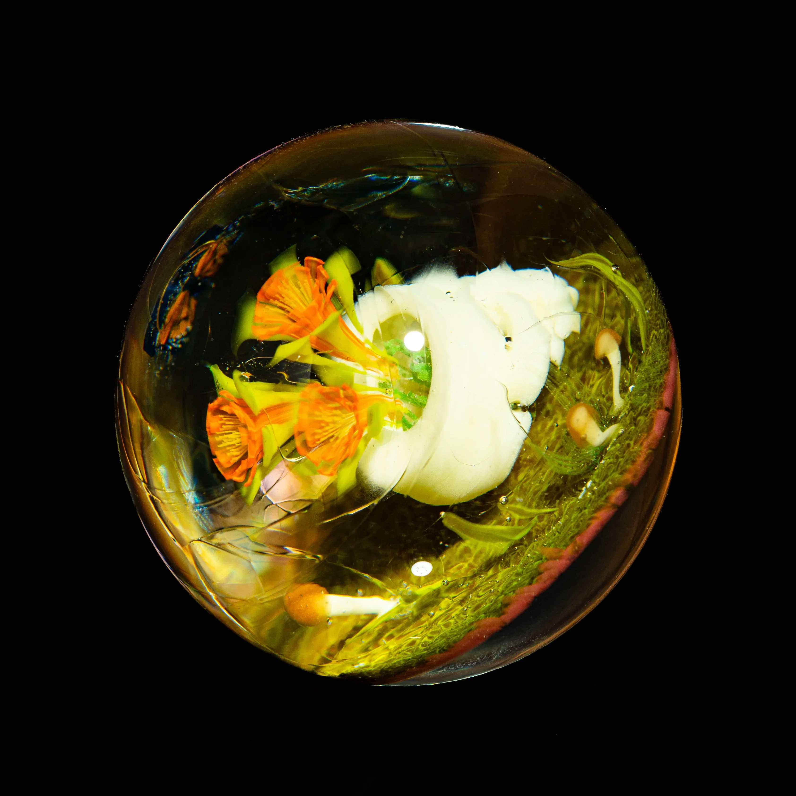 Rocko - Cranial Bloom 52MM Marble - Image 3