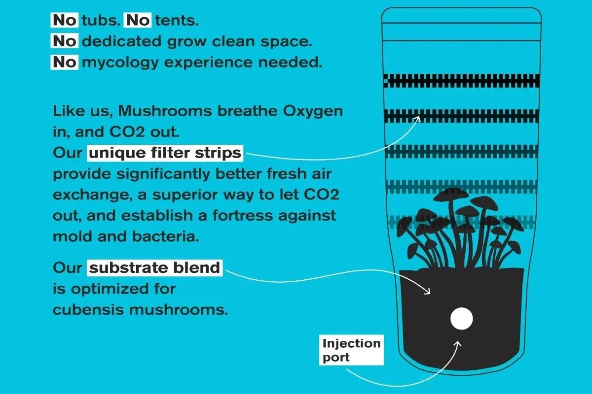 Shrüm - All In One Mushroom Grow Kit - Image 3