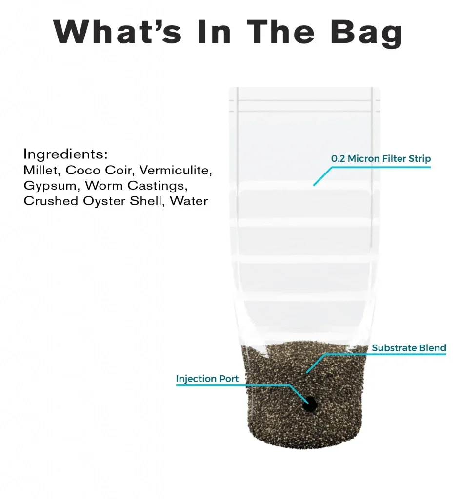 Shrüm - All In One Mushroom Grow Kit - Image 5
