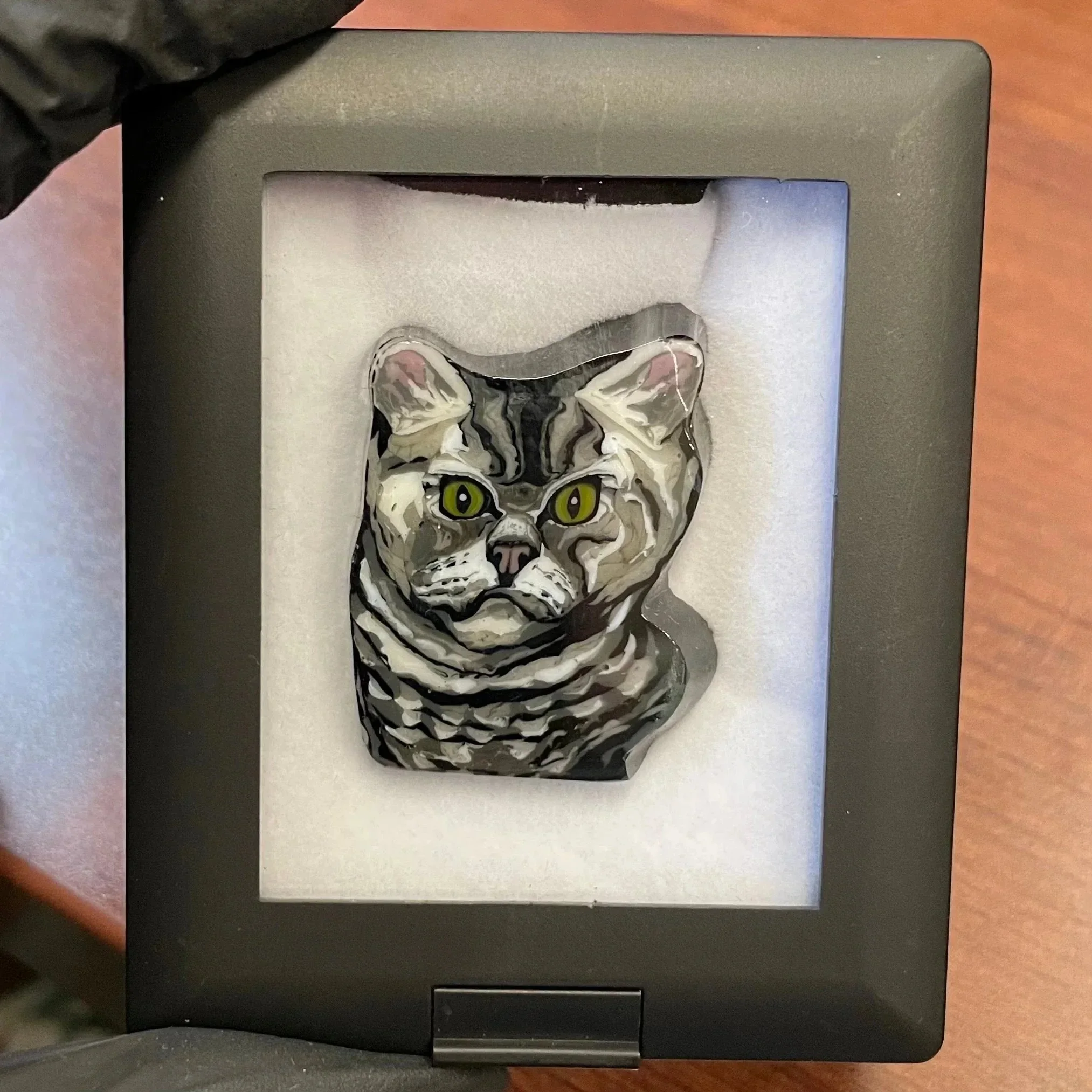 Stephen Boehme - Grumpy Cat Coin - Image 2