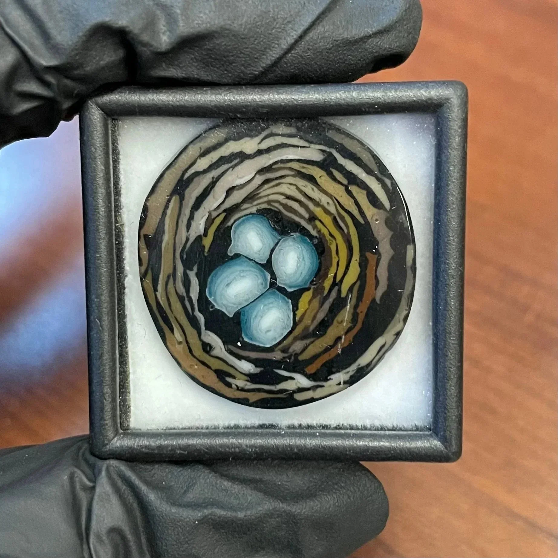 Stephen Boehme - Robins Egg Nest Coin - Image 2