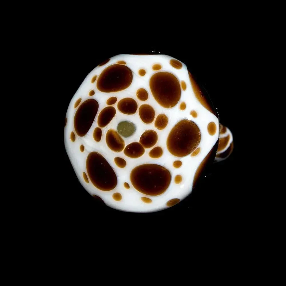 Suellen Fowler - Black & White Top 1 - Image 2
